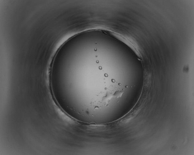 X0000090411151200707131141