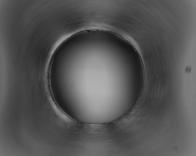 X0000090411152200707131141