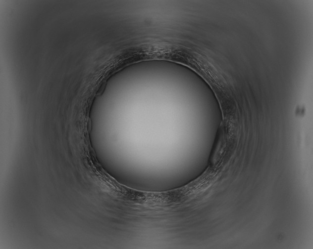 X0000090411153200707131141