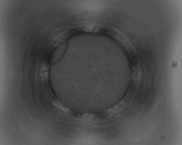 X0000090411154200707131141