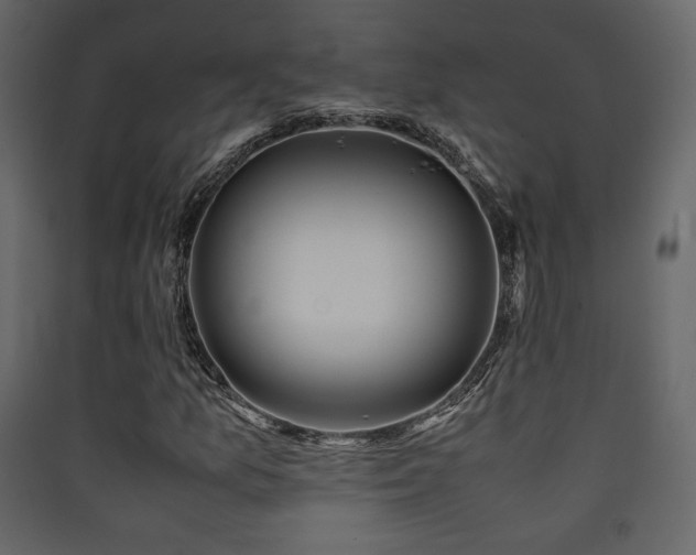 X0000090411157200707131141