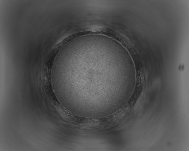 X0000090411158200707131141
