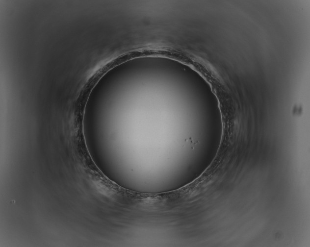 X0000090411160200707131141