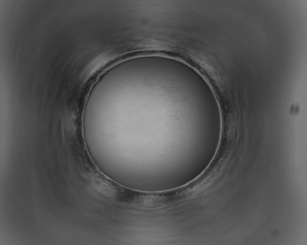 X0000090411163200707131140