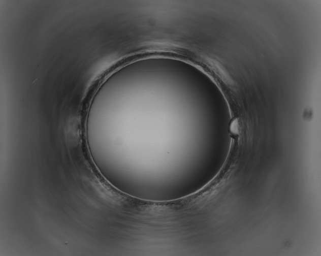 X0000090411164200707131140