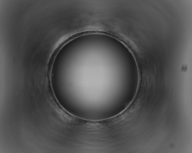X0000090411168200707131140