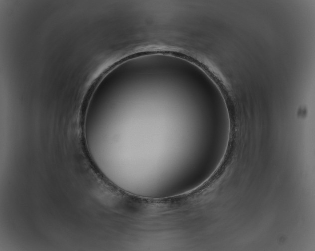 X0000090411173200707131140
