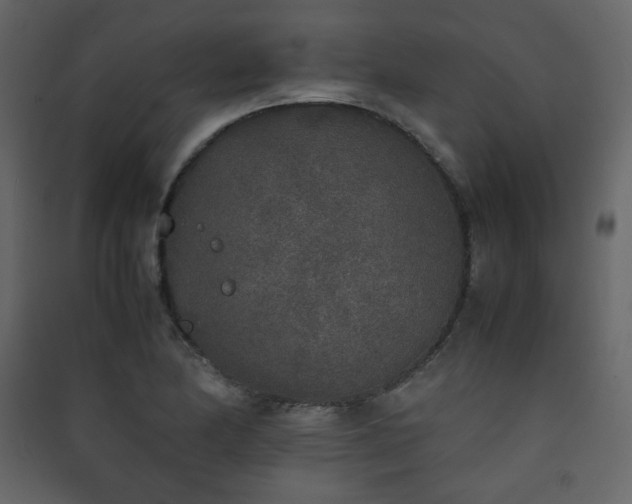 X0000090411174200707131140