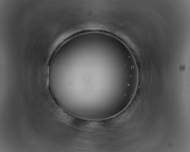 X0000090411175200707131140