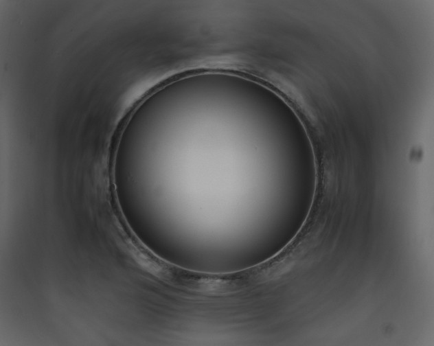 X0000090411176200707131140