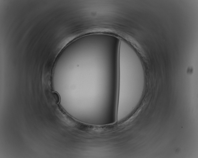 X0000090411177200707131140