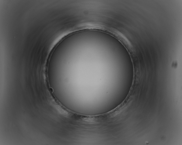 X0000090411182200707131140