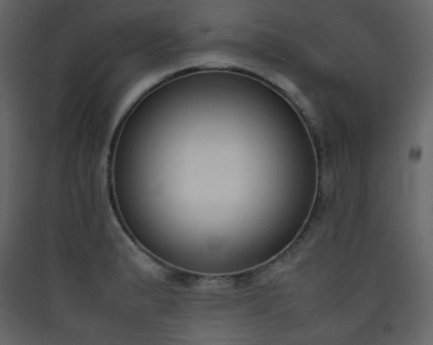 X0000090411183200707131140