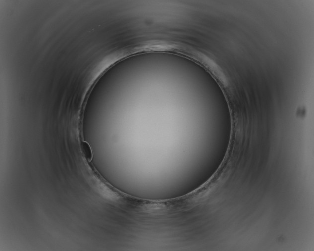 X0000090411186200707131140