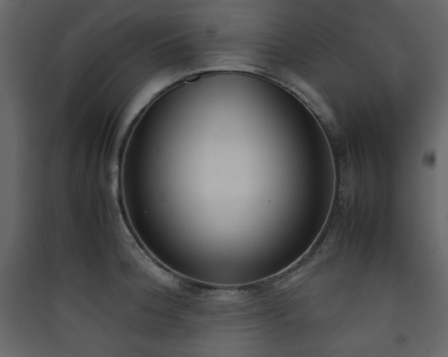 X0000090411188200707131140