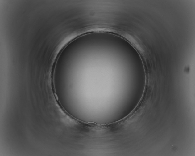 X0000090411189200707131140