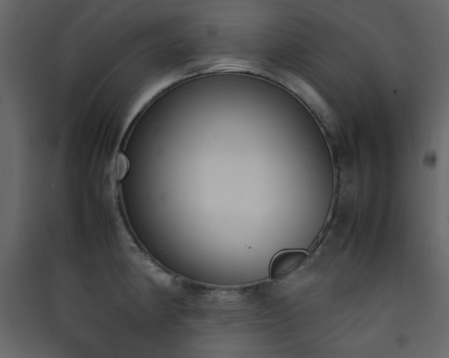 X0000090411190200707131140