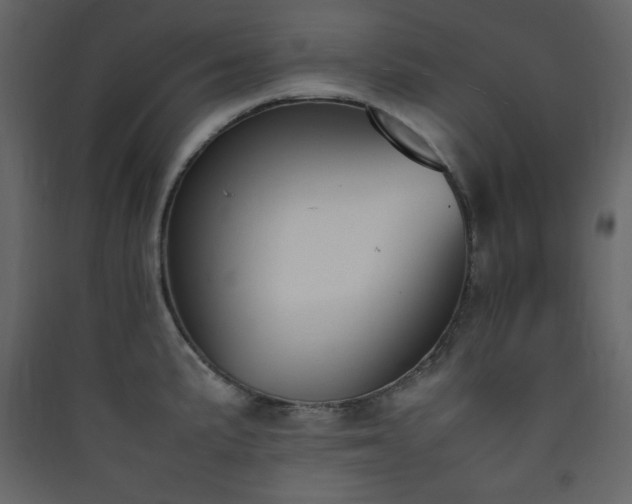 X0000090411191200707131140