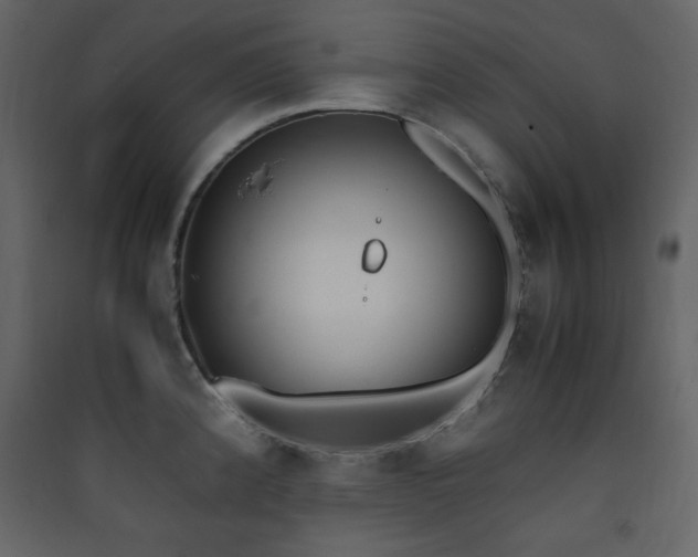 X0000090411192200707131140