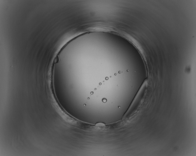 X0000090411195200707131140