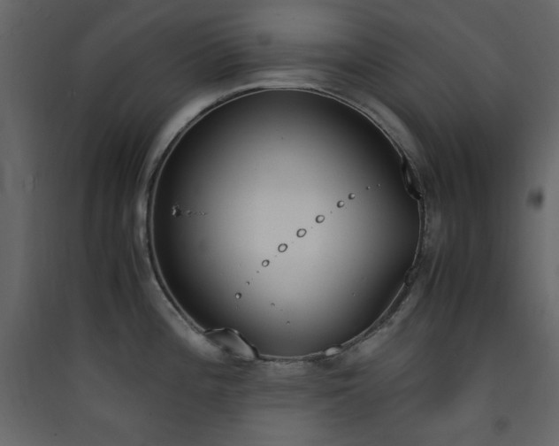 X0000090411196200707131140