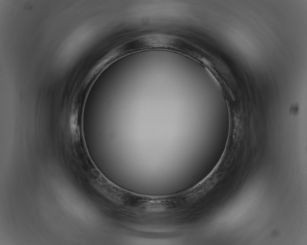 X0000090411198200707131140