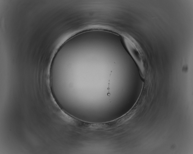X0000090411199200707131140