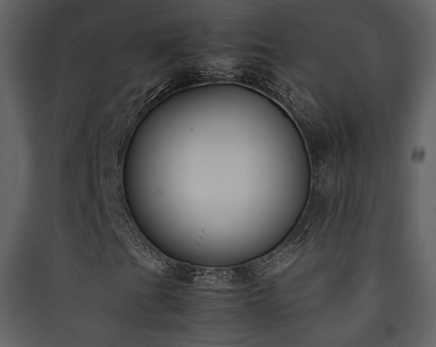 X0000090411201200707131139