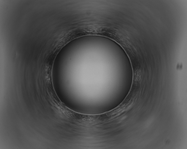 X0000090411202200707131139