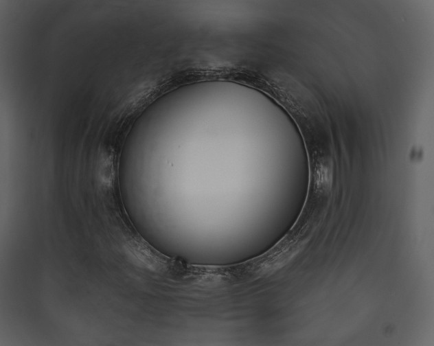 X0000090411204200707131139