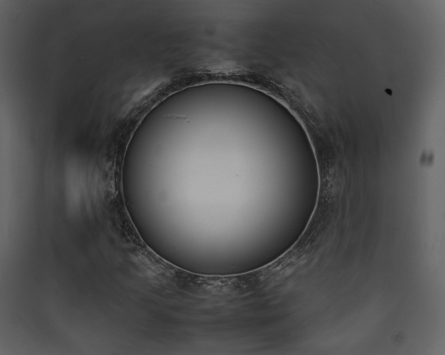 X0000090411205200707131139