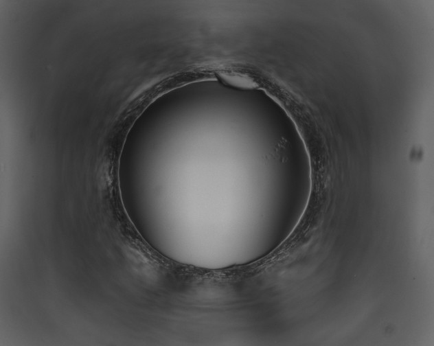 X0000090411206200707131139