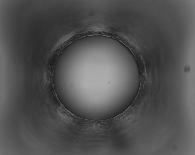 X0000090411207200707131139