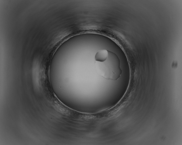 X0000090411209200707131140