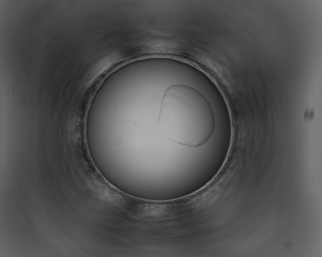 X0000090411211200707131140