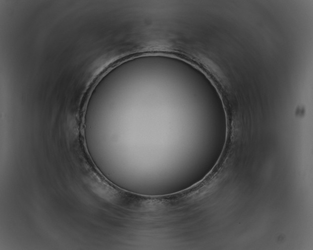 X0000090411212200707131140