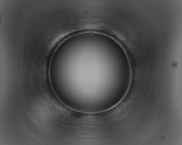 X0000090411214200707131140