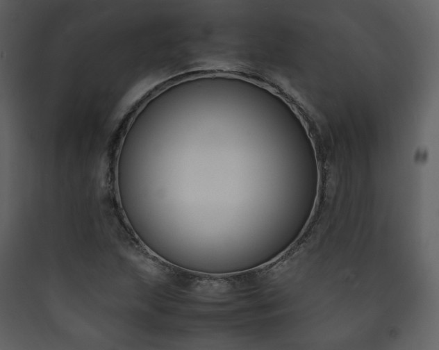 X0000090411215200707131140
