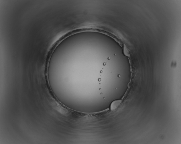 X0000090411216200707131140