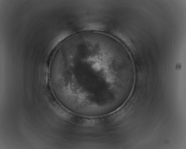 X0000090411219200707131140