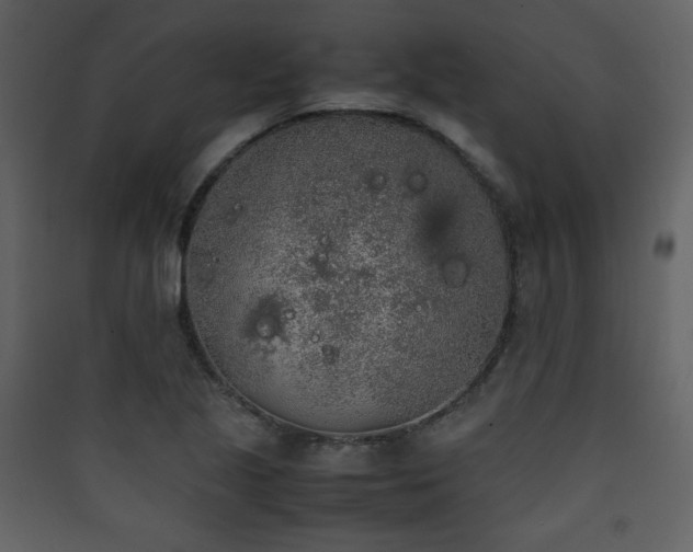 X0000090411221200707131140