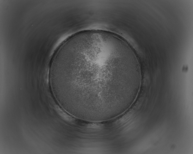 X0000090411224200707131140