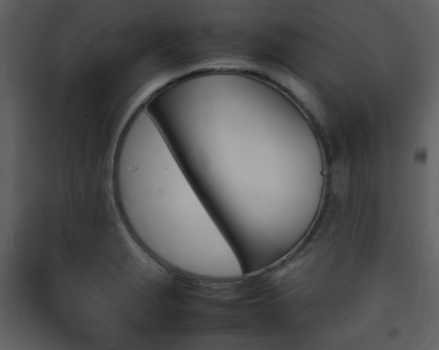X0000090411229200707131140