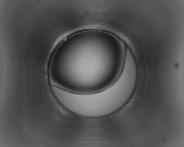 X0000090411230200707131140