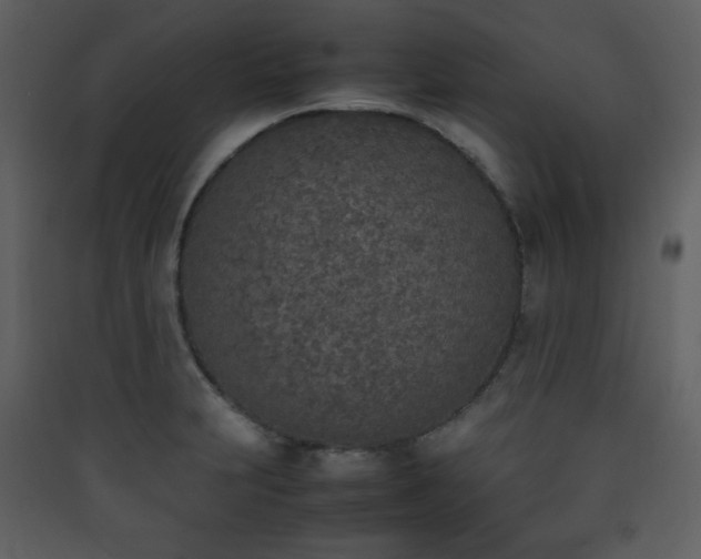 X0000090411231200707131140