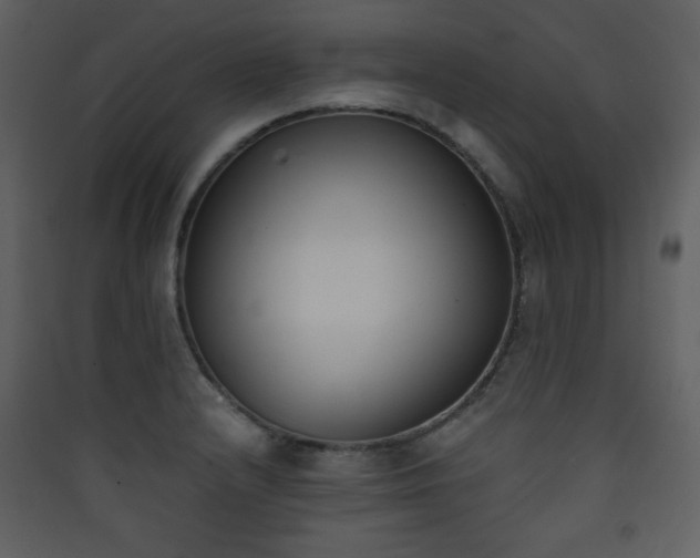 X0000090411232200707131140