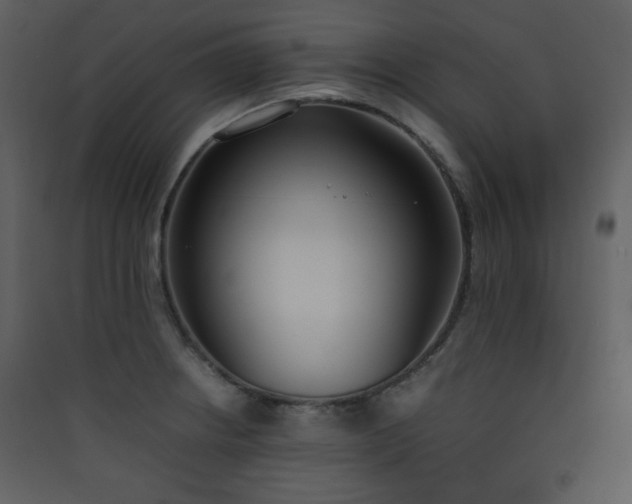 X0000090411234200707131140
