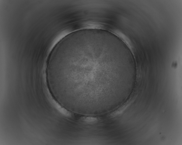 X0000090411235200707131140