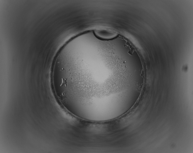 X0000090411237200707131140
