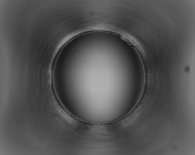 X0000090411238200707131140